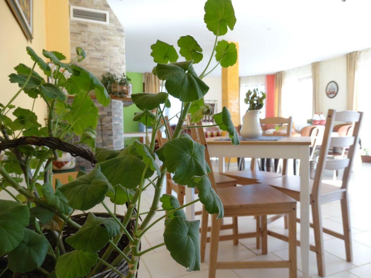 Guest House Misha Petrevene Buitenkant foto